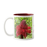 Red Torch Ginger mugs