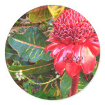Red Torch Ginger Wedding Mail Envelope Seals stickers