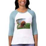 Red Toy Poodle Shirt