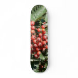 Red Tree Berries skateboards