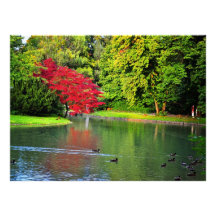 Red tree custom invitations