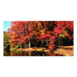Red Trees by Lake photo cards