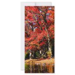Red Trees by Lake rack cards