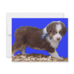 Red Tri Aussie Puppy Personalized Invites