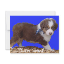Red Tri Aussie Puppy Personalized Invites
