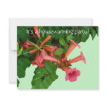 Red Trumpet Vine Housewarming Invitation