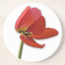 red tulip beverage coasters