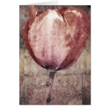 Red Tulip Brocade Cards
