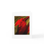 Red Tulip Card