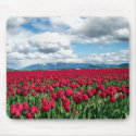 Red Tulip Field mousepads