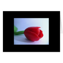 Red Tulip Greeting Card