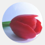 Red Tulip Sticker / Envelope Seal Stickers