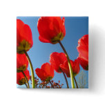 Red Tulip Stretch Buttons