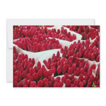 Red Tulips, Amsterdam, Netherlands flowers Invite