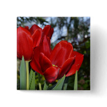 Red Tulips Pinback Buttons