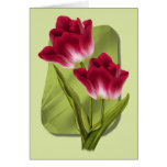 Red Tulips Greeting Cards