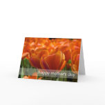 Red Tulips DSC0794 cards