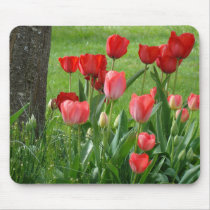 RED TULIPS MOUSEPADS Tulip Flowers MOUSE PAD