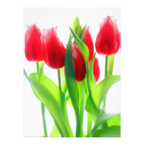 Red Tulips On White Photo Print