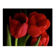 Red tulips postcards