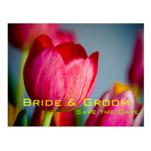 Red Tulips • Save the Date Postcard