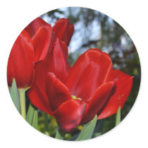 Red Tulips Round Sticker