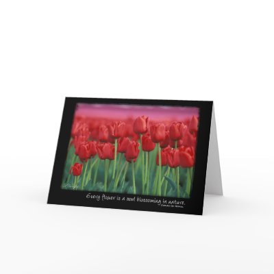 Red Tulips with Quote from Gerard DeNerval Cards by AnnaWight