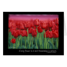Red Tulips with Quote from Gerard DeNerval Cards