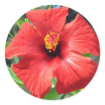 Red Turkish Flower stickers