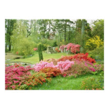 Red Various Azaleas In Garden Of Meditation flower Custom Announcements