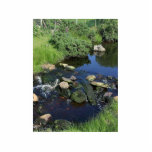 Red Water In A Stream Near Malin More photo sculptures