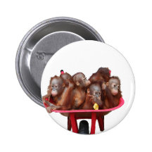 red wheelbarrow babies copy.png buttons