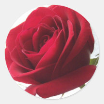 Red White and a Rose Products Sticker