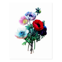Red White And Blue Anemones by Redoute Post Card