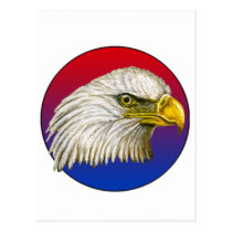 Red White and Blue Bald Eagle postcards