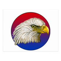 Red White and Blue Bald Eagle postcards