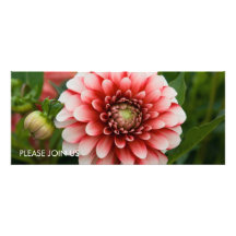 Red & White Dahlia Custom Announcements