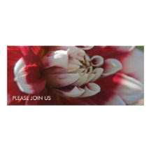 Red & White Dahlia Custom Invites