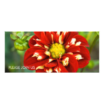 Red & White Dahlia Invite