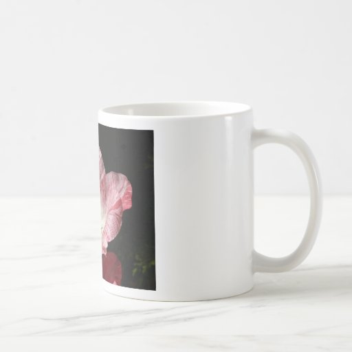 Red White Delight Coffee Mugs