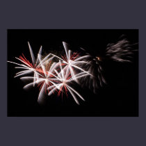 Red White Fireworks Display Photo Poster posters
