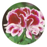 RED & WHITE MARTHA WASHINGTON ROUND STICKER