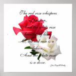 Red + White Rose Poster/Print