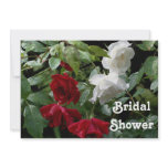 Red White Roses Bridal Wedding Shower Invitation