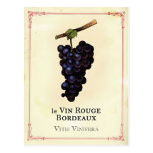 Red Wine Grapes Bordeaux Postcards