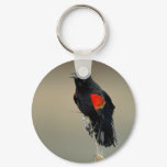 Red-winged Blackbird Key Chain