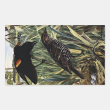 Red-Winged Blackbirds and Nest in Cattails Rectangular Stickers