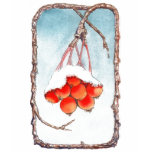 Red Winter Berry T-Shirt