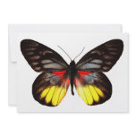 Red Yellow and Black Butterfly invitations