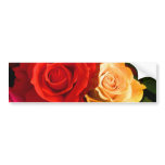 Red Yellow Rose Bumper Sticker - Customisable bumper stickers